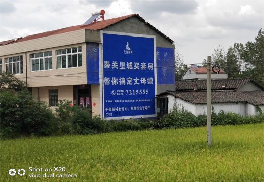 新平决定墙体广告价格的因素有哪些？