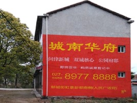 新平百分之90的人都不了解的农村墙体广告