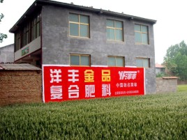 新平如何让墙体广告展现最大化效果