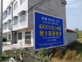 新平墙体广告质量分析