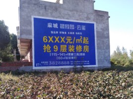 新平品牌公司青睐的墙体广告